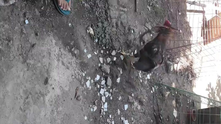 sweater x melsim 7months old vs 1year old 3rd spar Ng sweater natin