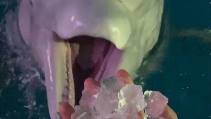 Wishing everyone a happy Dragon Boat Festival!