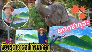 🐘น้องสุดาวาดรูปดอกซากุระวิวหลักล้าน🌄🍂🌸🍃