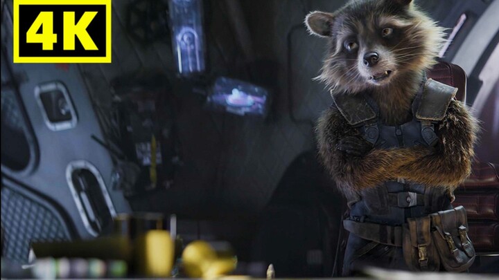 【4K/Guardians of the Galaxy】ร็อกเก็ตแร็กคูน: ข้าเป็นแร็กคูน ไม่ใช่กระต่าย!!