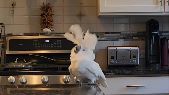 Mental state when home alone