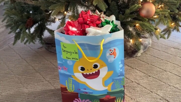 [Beluga and His Buddies] Opened Christmas Gifts in Advance!