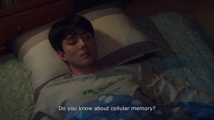 All That We Loved [Episode.07] EngSub