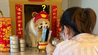 About the boss placing a lucky cat at the company reception desk