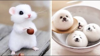 Cute baby animals Videos Compilation cute moment of the animals - Cutest Animals #1