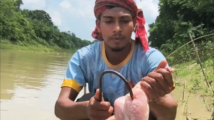 Catching Monster Fish in the River with Chicken Bait on a Hook! 🐟