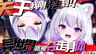 关于我刚转生到异世界就被夺走身体的这件事