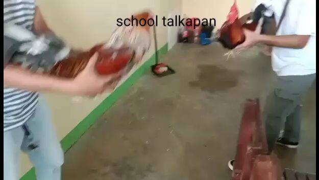 Taya kana haha😂