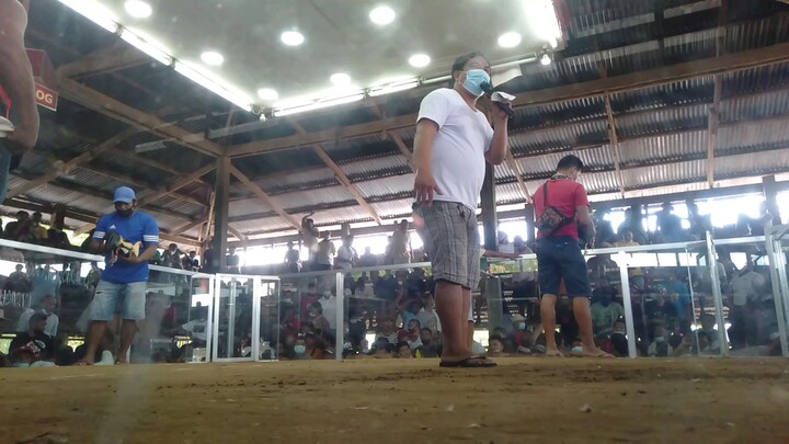 gullxgrey tinamaan sa leeg