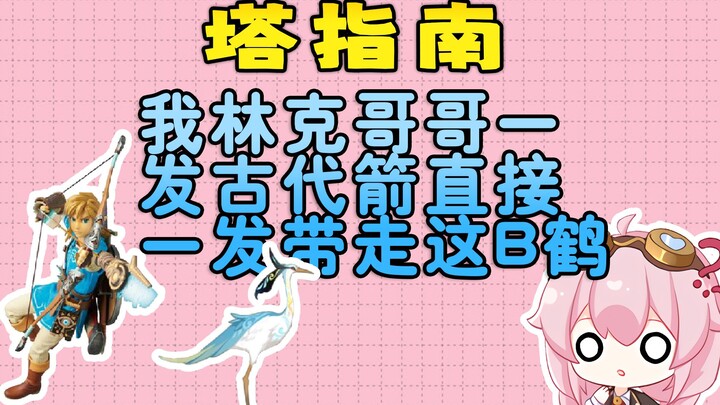 【塔指南】“我林克哥哥一发古代箭直接一发带走这b鹤”是什么梗？