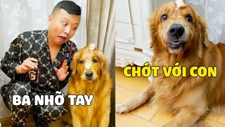 Gia Đình Lốp | PAPA Nghịch Ngu Trêu LỐP Và Cái Kết Bầm Mặt 🤣 Gâu Đần Official