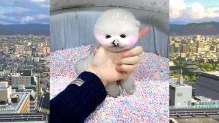 ดูแล้วหายเครียด series 24