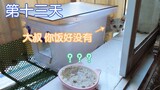 流浪猫搬进我家【第十三天】