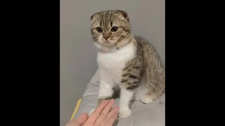 ไม่มีขนม=เราไม่รู้จักกัน 😂