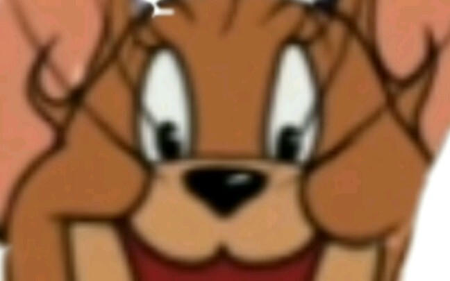 Tình hình mèo vờn chuột hiện nay (1)