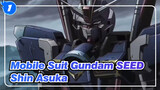 [Mobile Suit Gundam SEED/MAD] Shin Asuka--- Dikontrol oleh kebencian_1