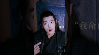 Catch me if you can #wangyibo #xiaozhan #bjyx #douyin #bjyxszd