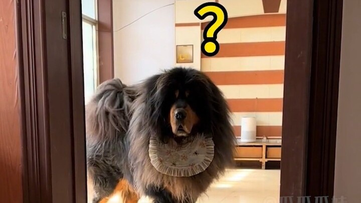 Saat si mimi kecil keluar, otak kecilku sampai mengkerut!