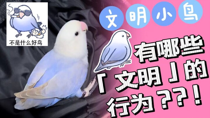 ما هي بالضبط السلوكيات "الحضارية" للطائر اللطيف صاحب ملصقات التعبيرات؟！