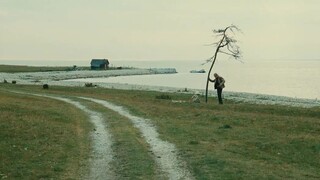 Film|The Sacrifice|Breath-taking Scene