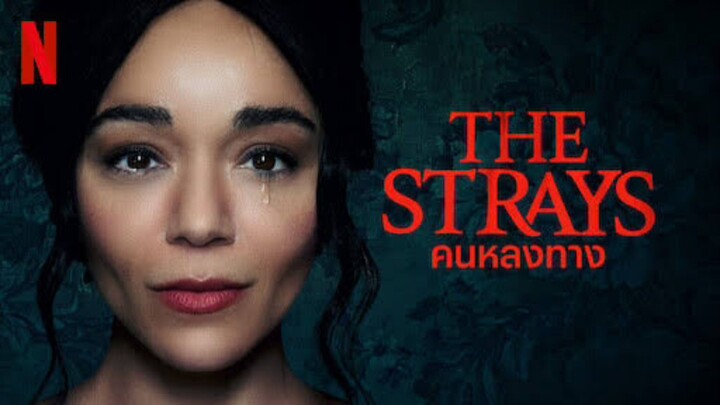 The Strays (2023) คนหลงทาง