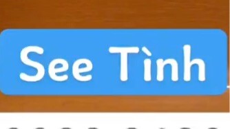 Hướng dẫn bài See tình