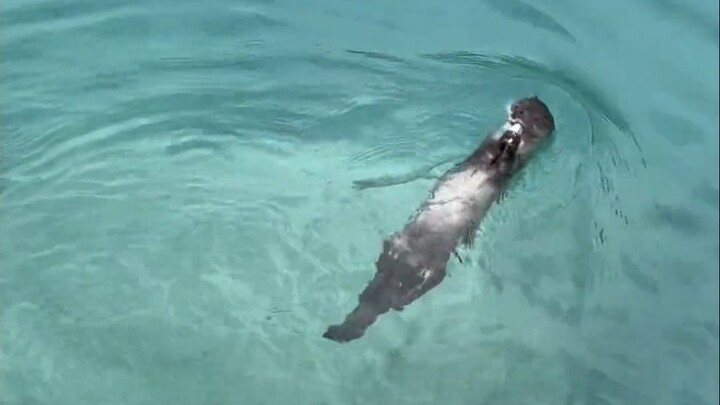 Isn't this a hundred times better than fishing?