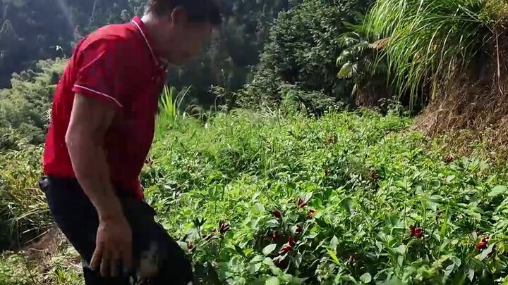 Desa ini dibangun di lereng landai dekat puncak gunung. Navigasi tidak dapat menjangkaunya secara la