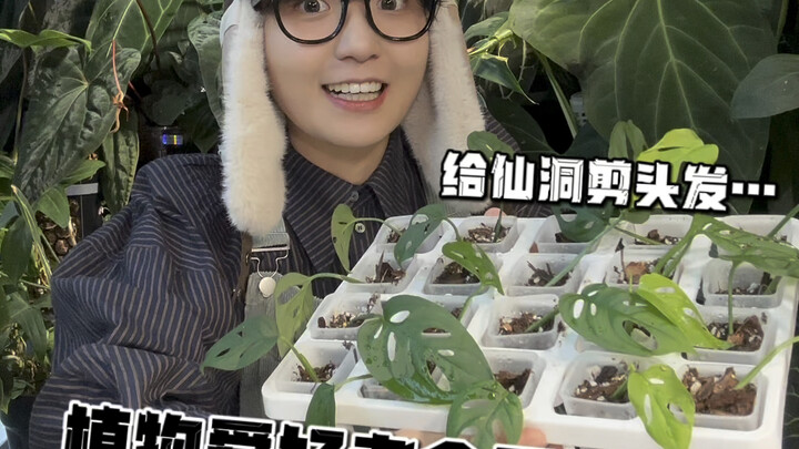 植物爱好者会无聊吗？不可能！绝对不可能！！