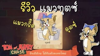 tom and jerry chase asia | รีวิวแมว ทุตซ์ (แมวกรี๊ด) ยอมกินมาม่าเพื่อเธอ !!