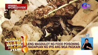 Kontra-ipis sa tahanan tips, alamin | Dapat Alam Mo!