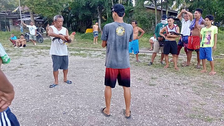 talo tayu jan mga paps hahaha bawi nextime