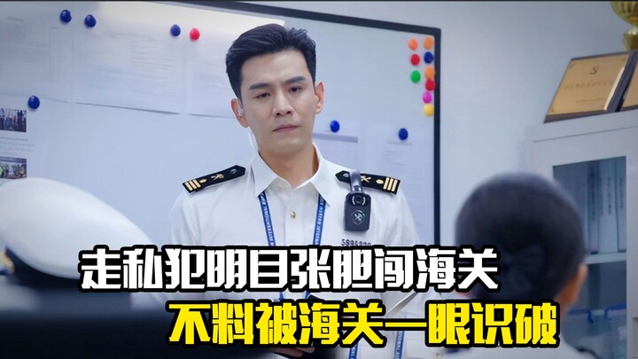 A smuggler brazenly stormed through customs, convinced their act was flawless—only to be busted over