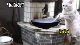 为啥以前的孩子可以揍?#猫meme小剧场#童年#真实还原#搞笑