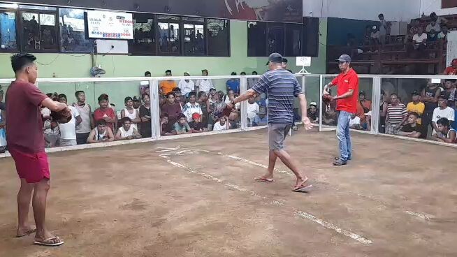 GOLD HENNIE CHAMP(2HITS)