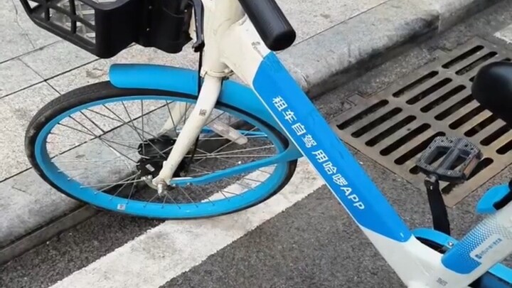I don’t want to ride it either, but it even called me princess!