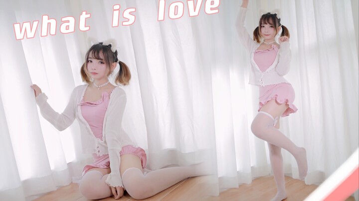 Mèo con trong sáng gợi cảm hỏi bạn: Tình yêu là gì? 【HBto Gấu Gấu】