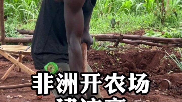 Saya membuka pertanian di Afrika dan mulai membangun sebuah gazebo outdoor.