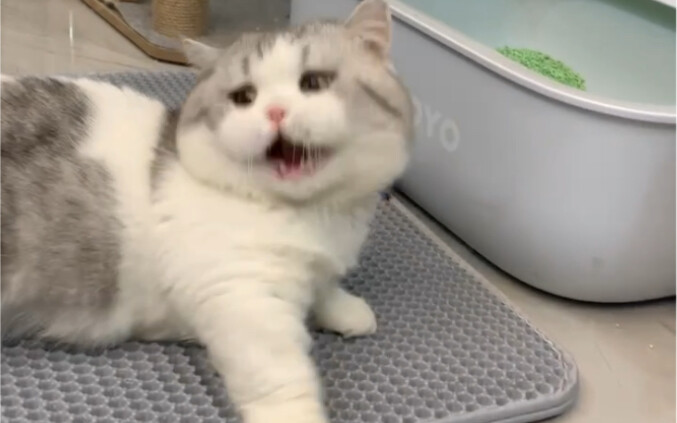 “ขี้เกียจตัดต่อ” ออร่าความงี่เง่าแบบนี้ก็ไม่ต้องตัดต่อด้วยซ้ำ…