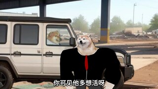 买车记，只需2.8