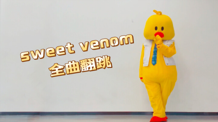 有恩静说我长得像朴综星？ENHYPEN最新回归曲Sweet Venom舞蹈全曲翻跳