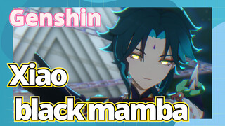 Xiao black mamba