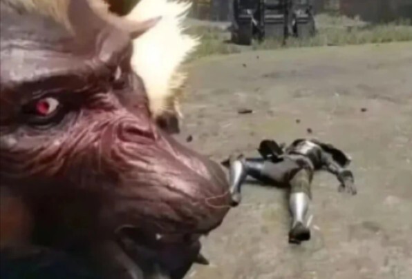 “Khi bạn lôi bạn cùng phòng vào thế giới Monster Hunter”