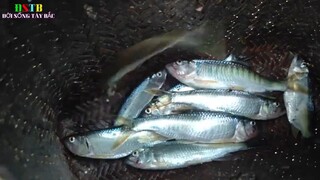 CÙNG CẦN THỦ CÂU PA XẢM ĐẶC SẢN CÁ SUỐI TÂY BẮC