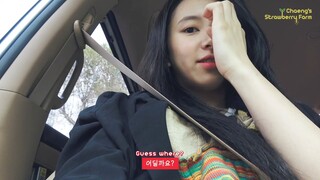 [SUB INDO] 190122 채영 TV EP.챙의 딸기농장