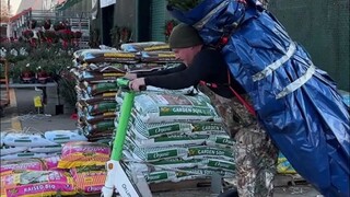 国外老哥买了棵圣诞树，想骑着电动滑板车把它带回家。别说你还真别说，真让他做到了