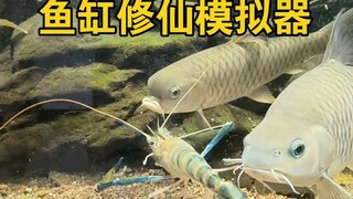 鱼缸里修仙模式，我是宗门老祖。
