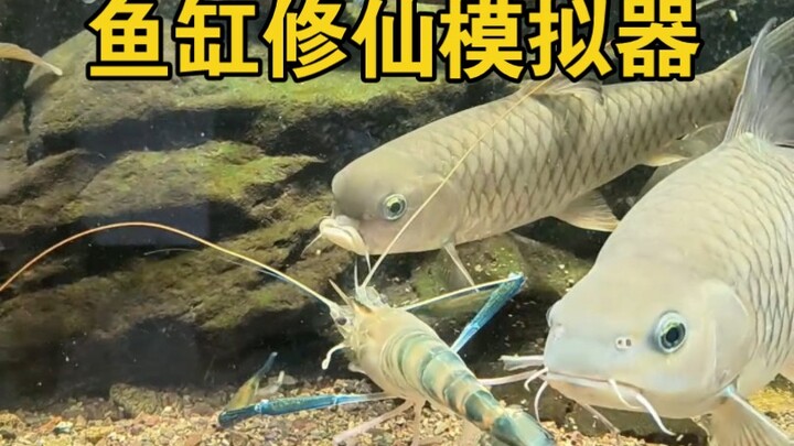 鱼缸里修仙模式，我是宗门老祖。