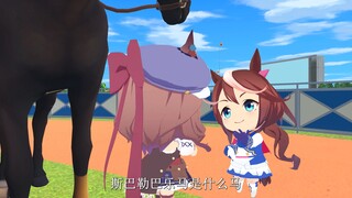 这是什么马？斯巴勒巴乐马