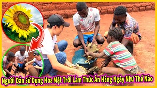 Người Dân Sử Dụng Hoa Mặt Trời Làm Thức Ăn Hằng Ngày Như Thế Nào ?